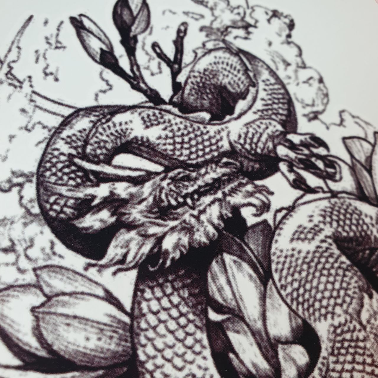 Tatuajes Temporales Dragones SHEIN