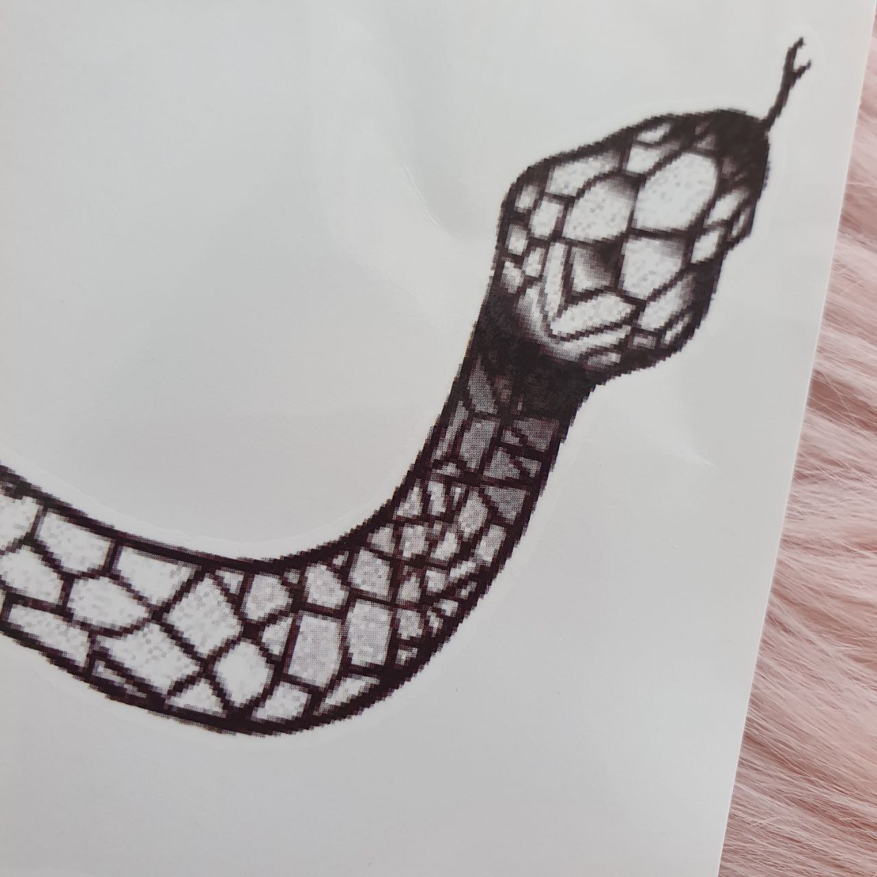 Tatuaje Temporal Serpiente Enrollada MEET MAGIC TATTOO