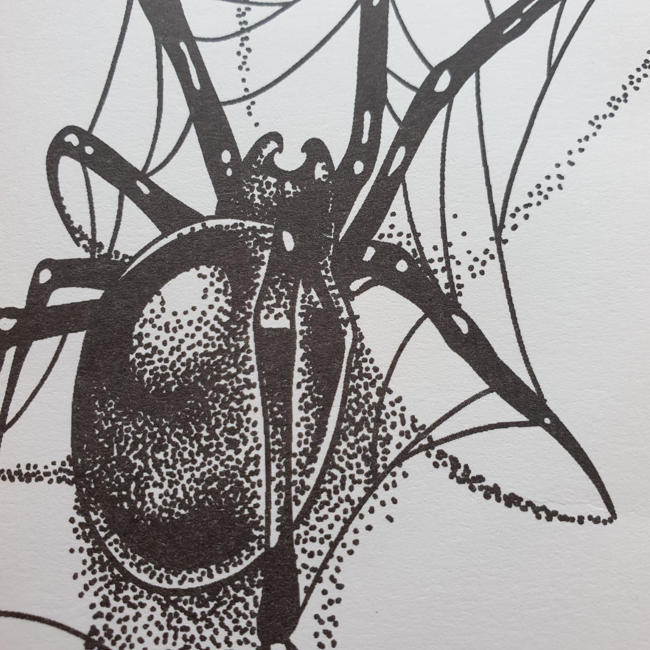 🔝 Tatuaje Temporal de Araña XM&XP Tattoos
