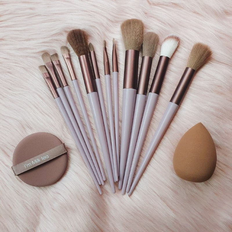 Set 12 brochas y esponjas Shein