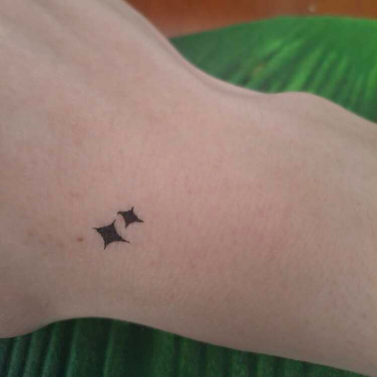 Tatuajes Temporales Mariposas y más Shein